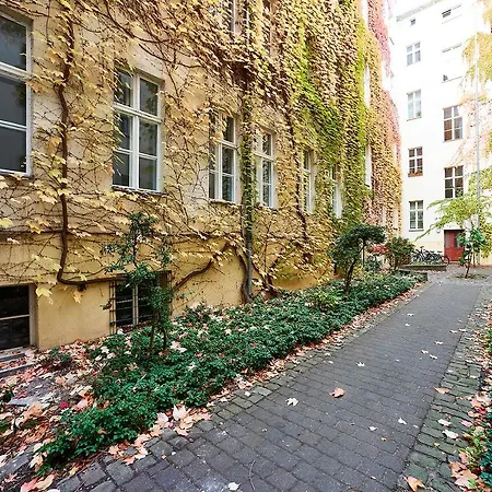 Bearlin - Center East 3*